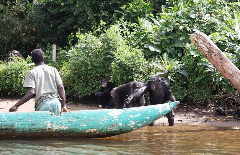Monkey Island, Liberia